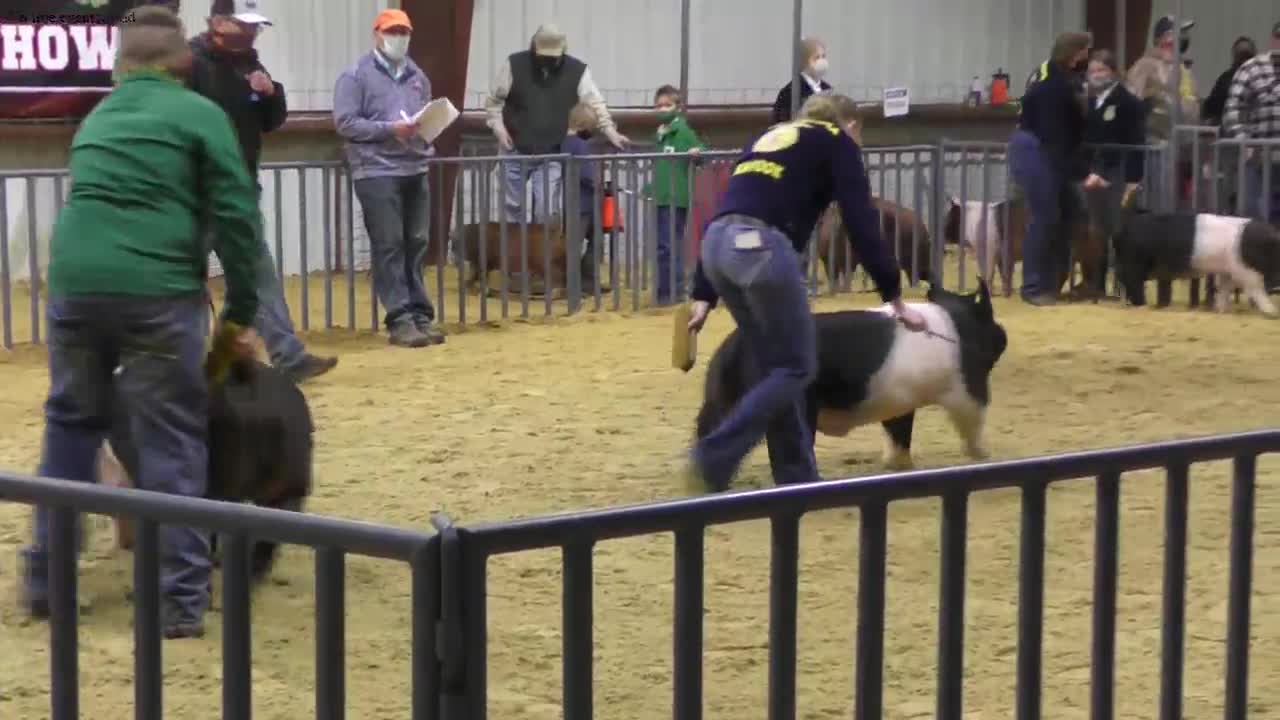 ffa-pig-show-general-hroach