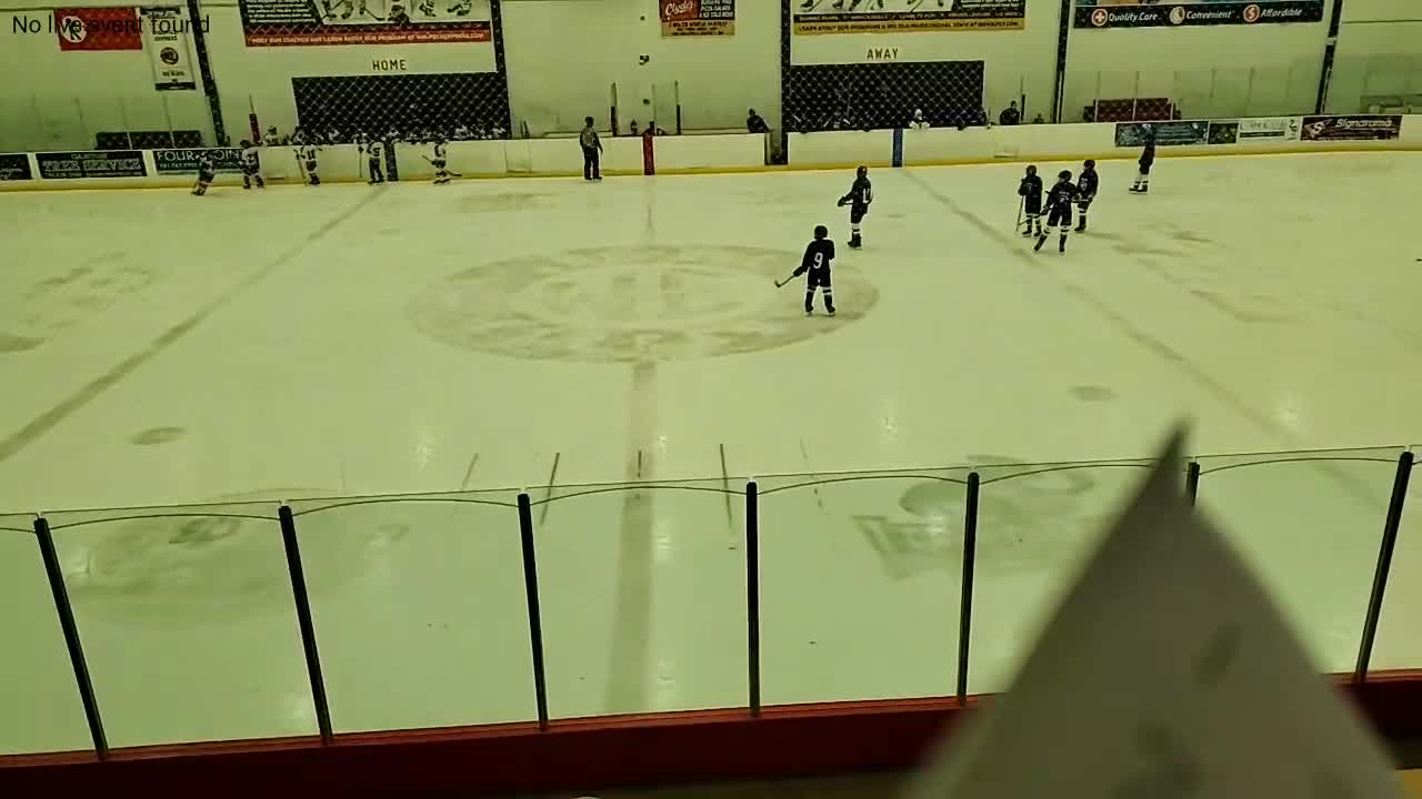 TP3 Hockey vs