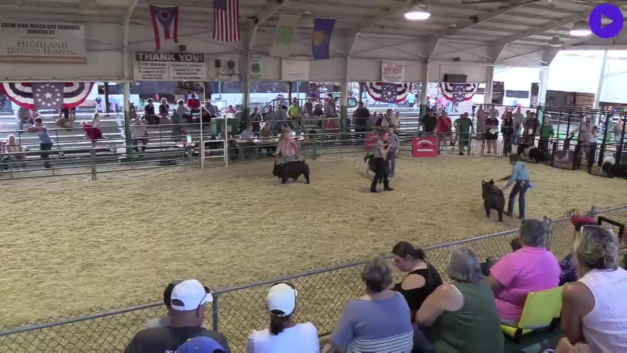 Highland County Fair Country Born & Bred Market Barrow General